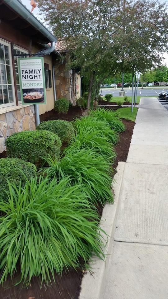 A sidewalk leading to a restaurant with a sign that says `` family night ''.