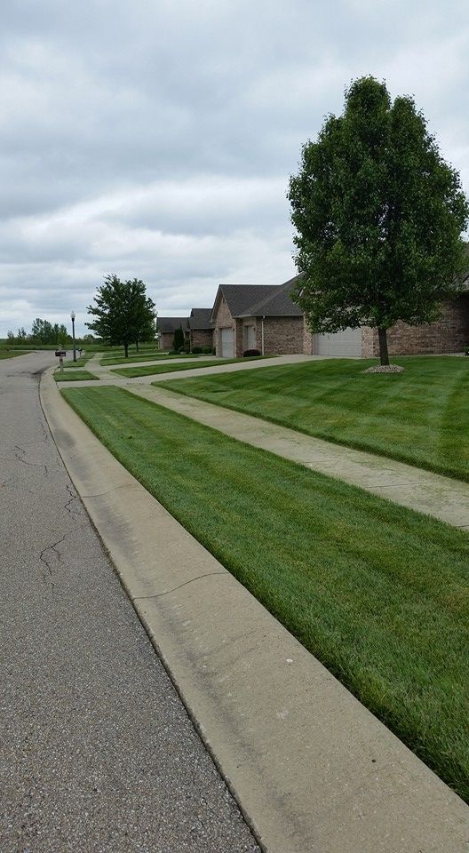 A sidewalk leading to a lush green lawn in a residential neighborhood.