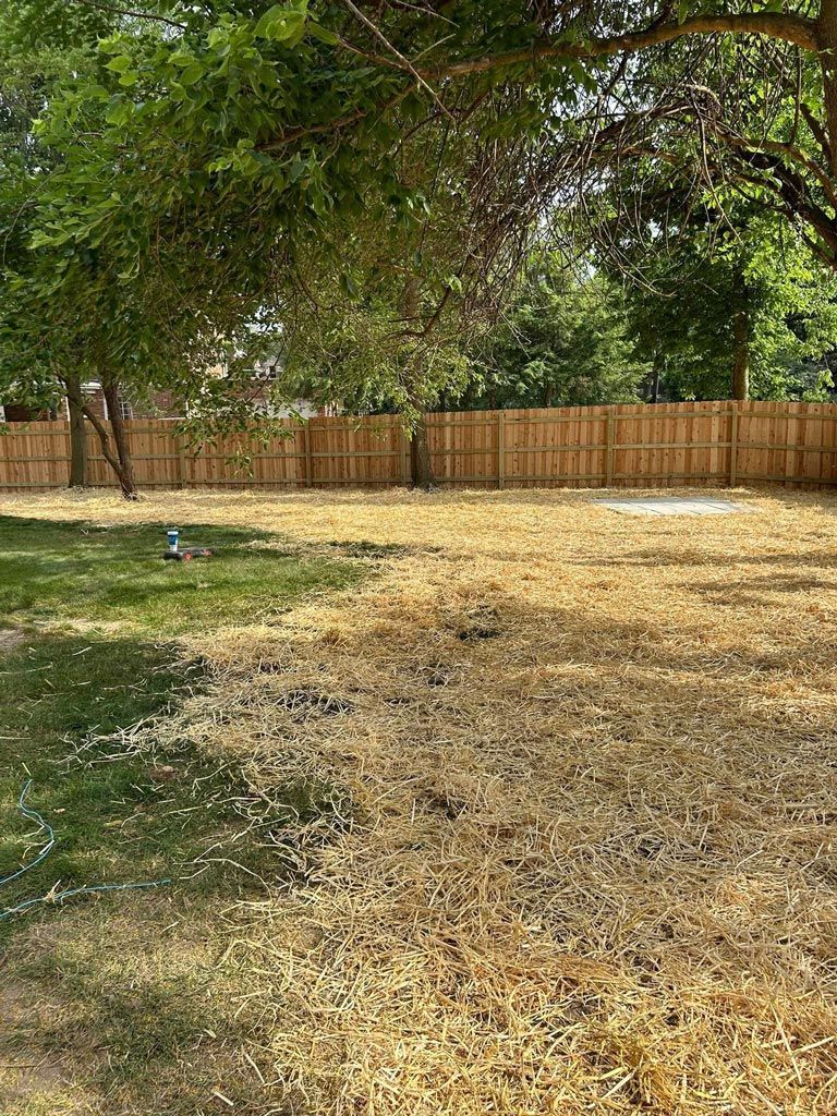 A yard with a wooden fence and trees in the background.
