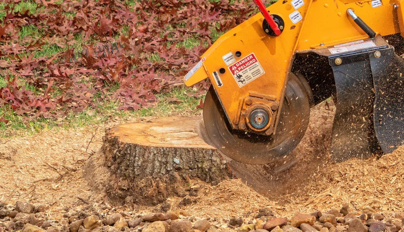 A tree stump is being removed by a machine.