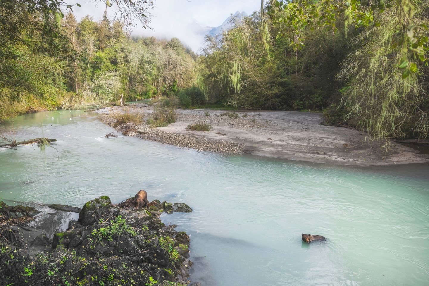 Een turquoise rivier kronkelt door een weelderig bos met rotsachtige oevers en dichte groene bomen.