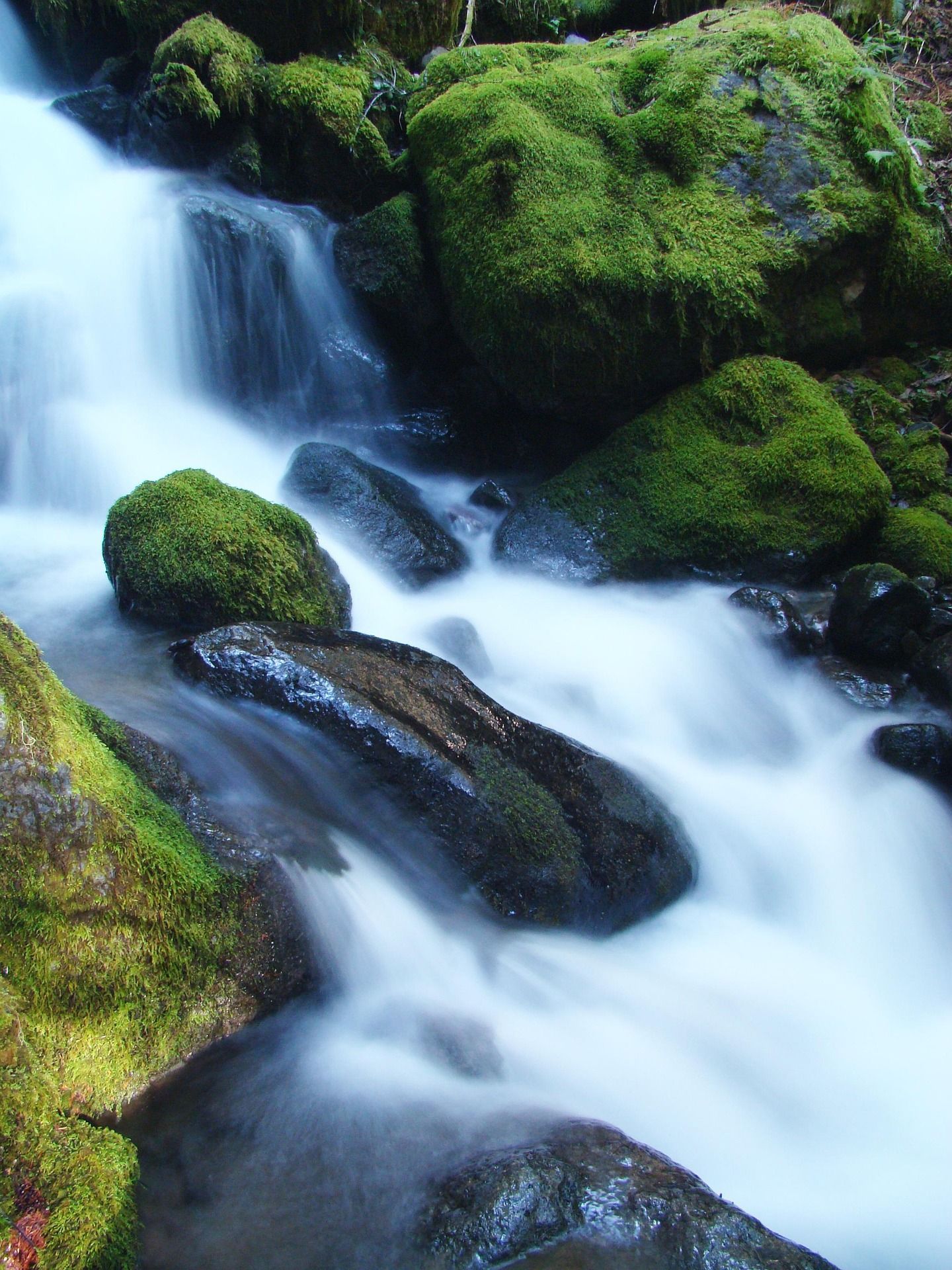 Water cascading over moss-covered rocks in a forest, creating a blurred white effect.