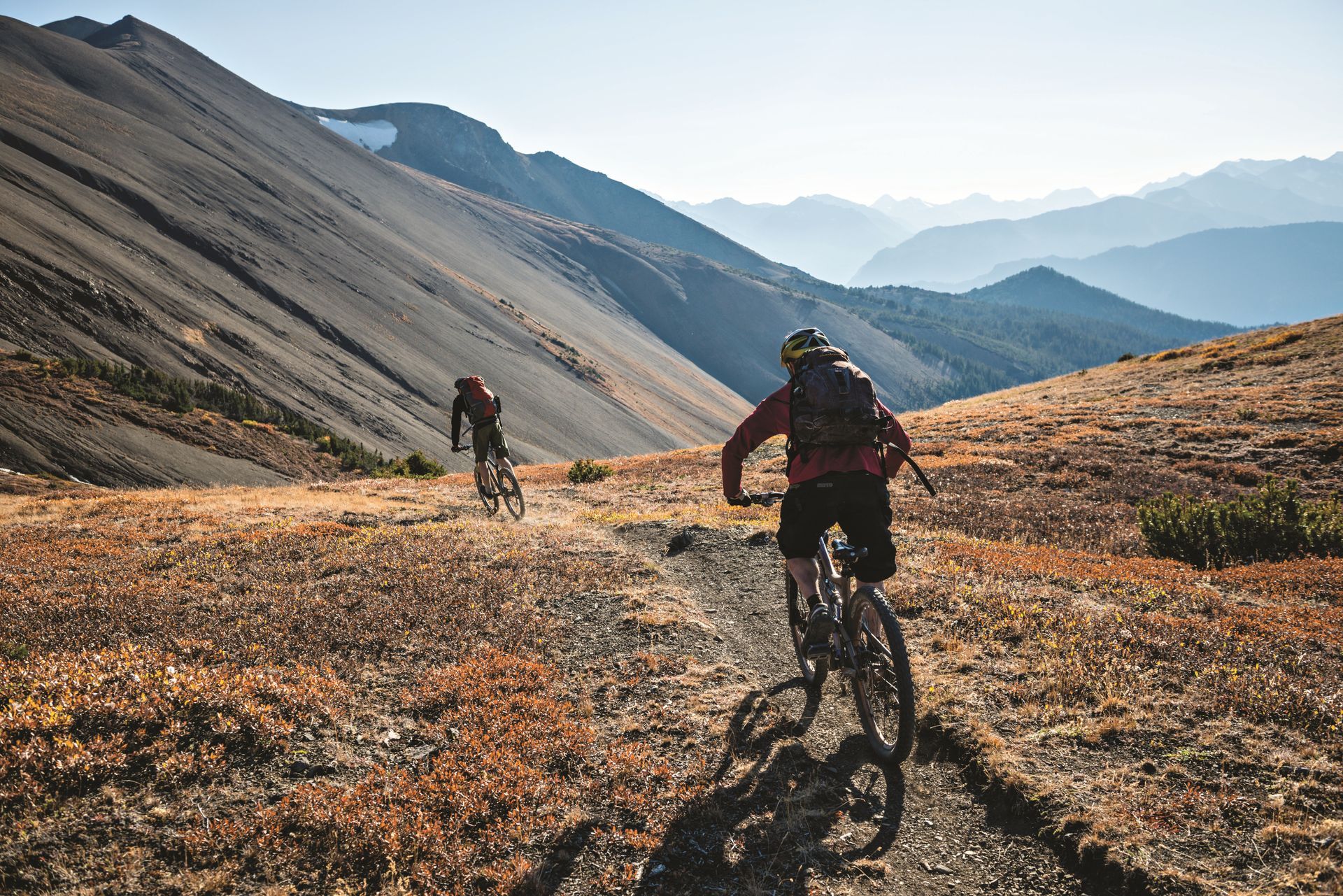 Person's hand next to a bear paw print in snow, with red jacket and black boots visible.