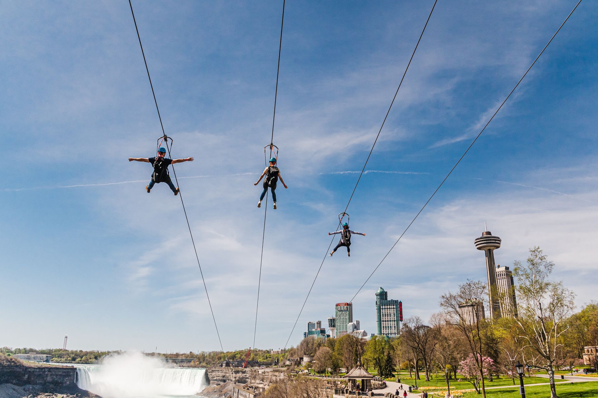 Person in car watches bison grazing in a golden field during sunset.