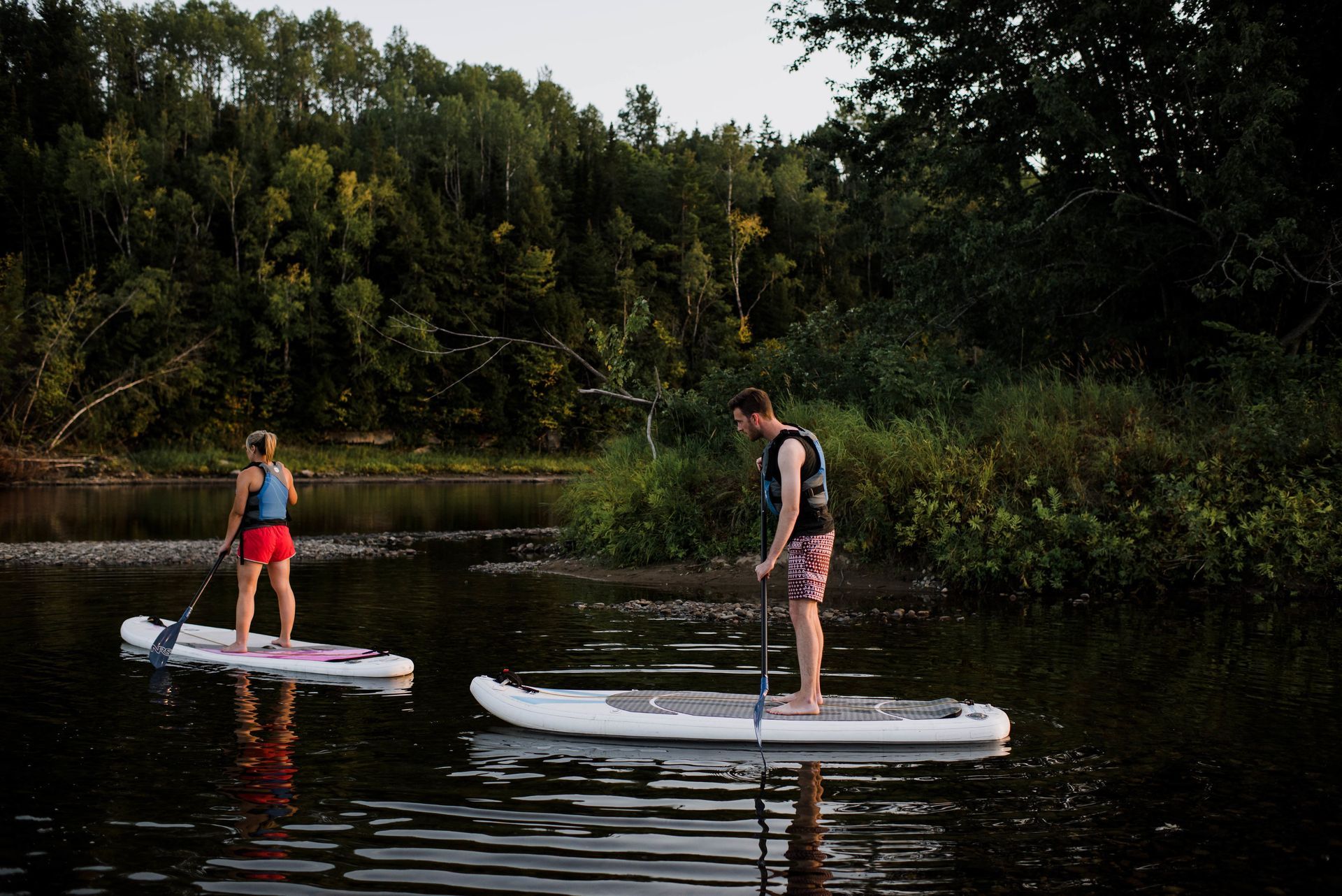 Clear river flows through a forest with tall, thin trees. Mountains are visible in the background under a blue sky.