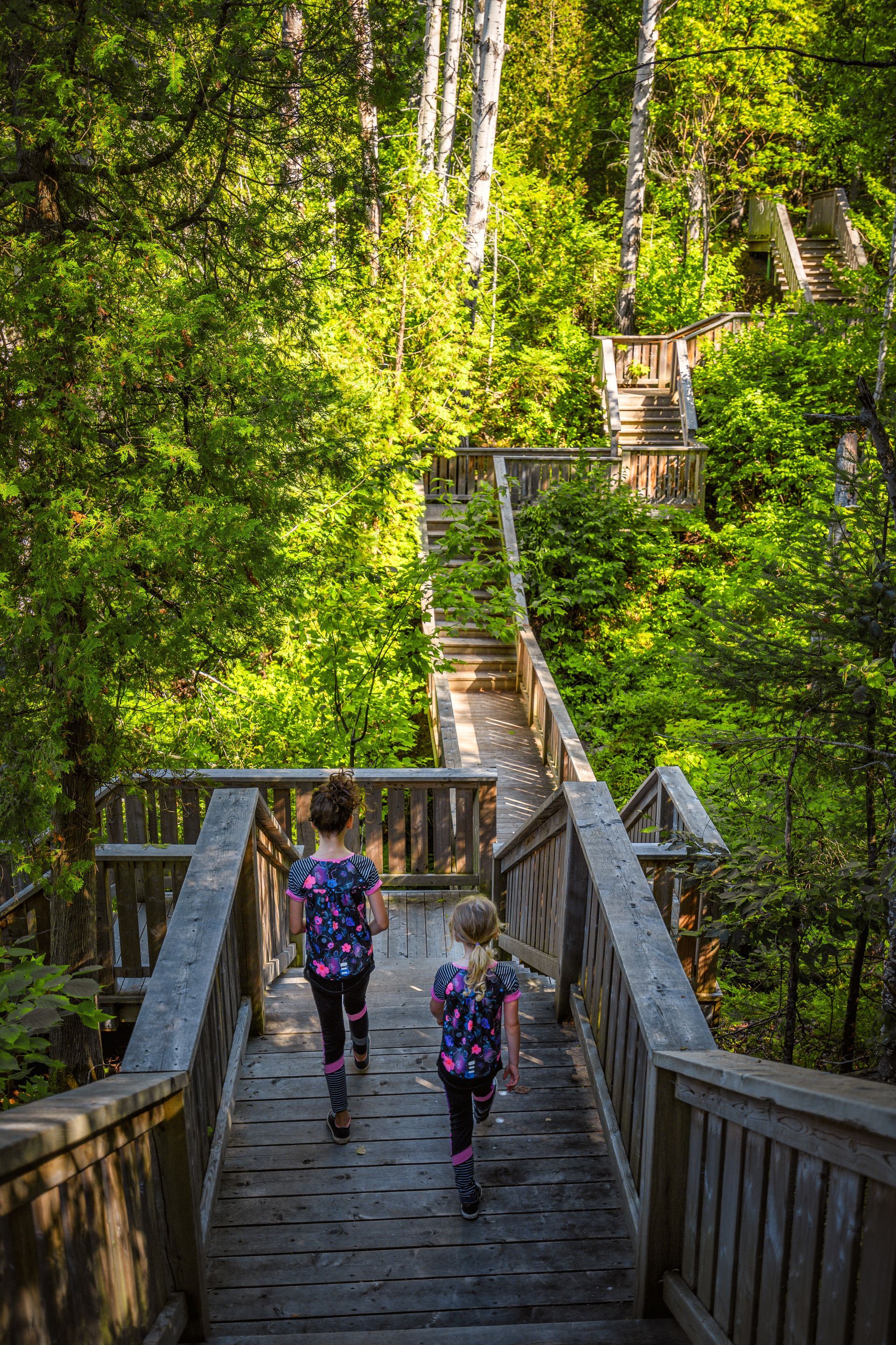 Two children walk up wooden stairs in a forest, bright green foliage surrounds the path.
