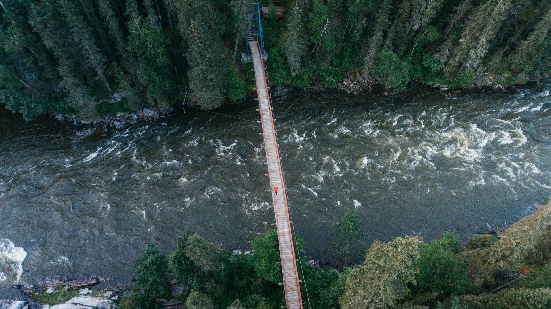 Overhead view of a wooden suspension bridge over a rushing river in a forest, trees surround.