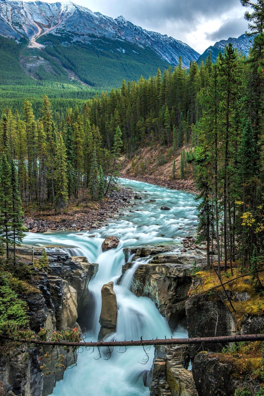 River flowing through a forest and over a waterfall with a mountain backdrop.