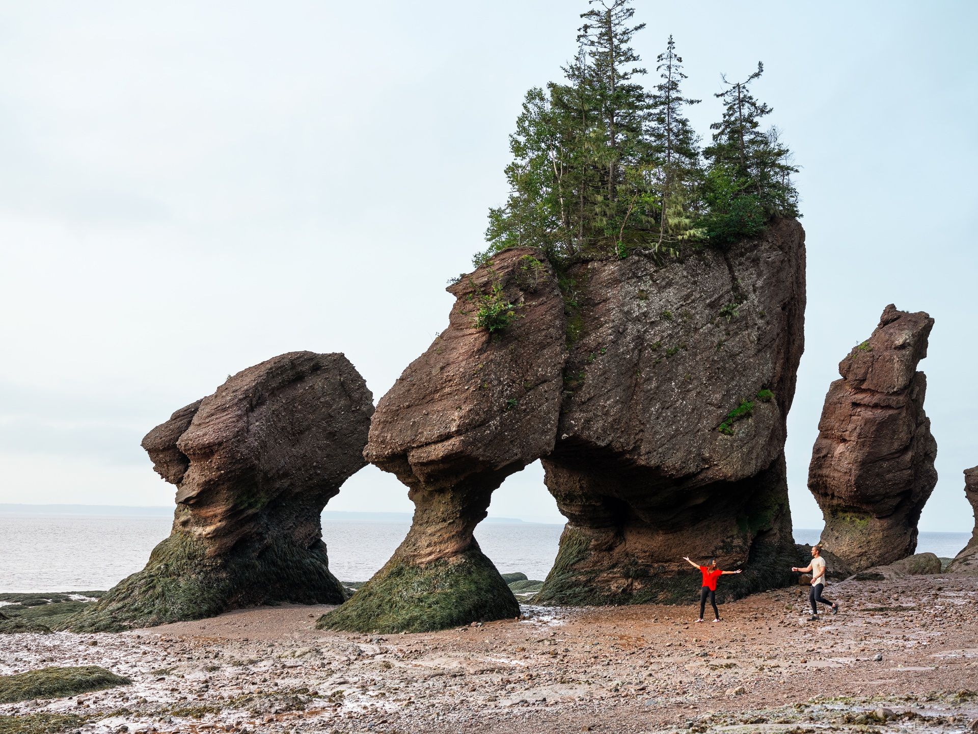 @ Destination Canada Coastal rock formations with trees on top, two people standing near the rocks on a muddy beach.