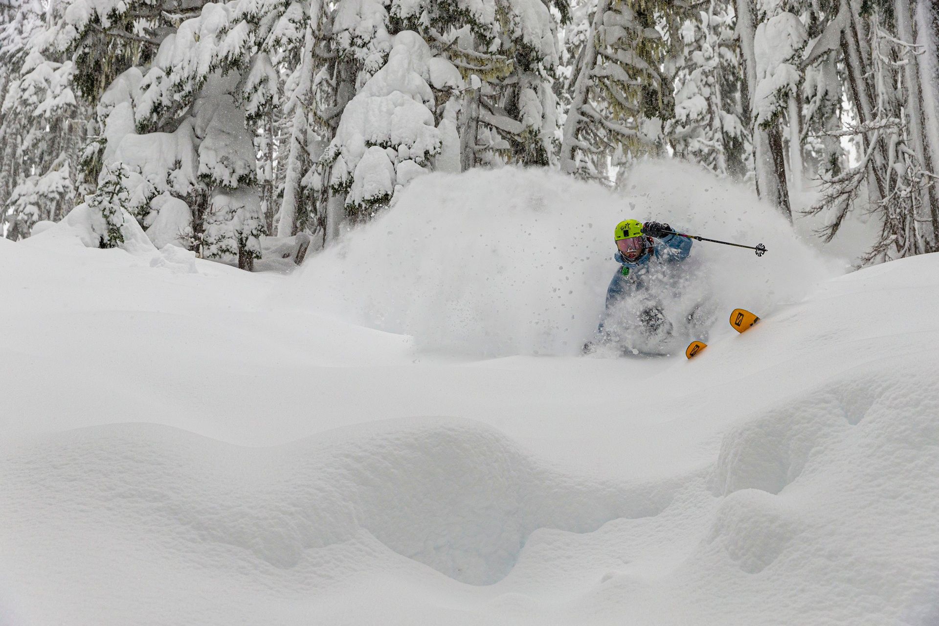 © Stan Rey Een skiër baant zich een weg door diepe poedersneeuw in een besneeuwd bos en veroorzaakt daarbij een grote sneeuwophoping.