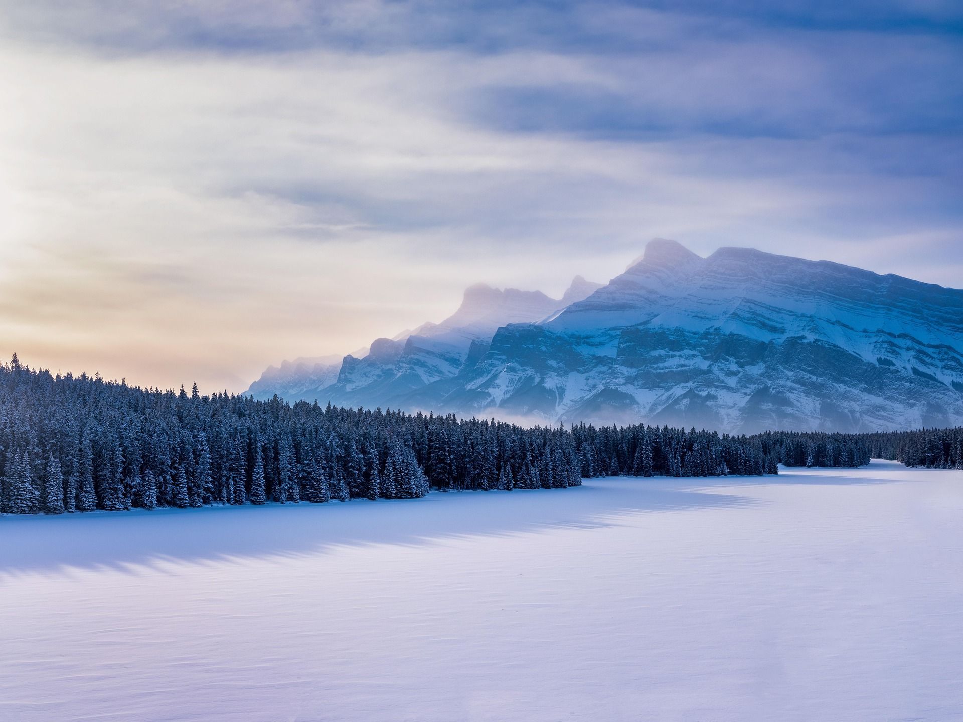 Clear river flows through a forest with tall, thin trees. Mountains are visible in the background under a blue sky.