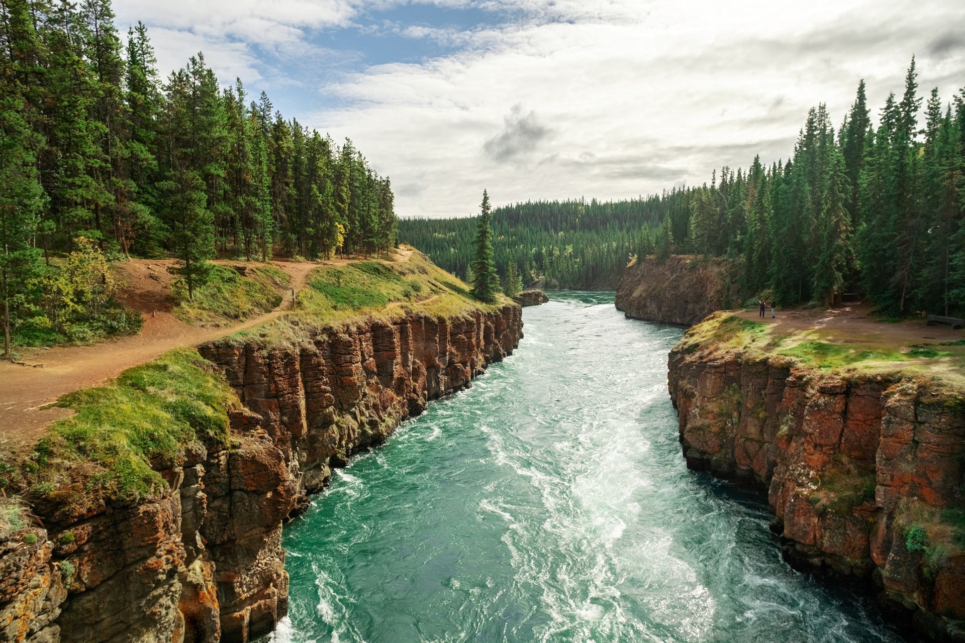 A turquoise river flows through a canyon lined with reddish-brown rock and evergreen trees.