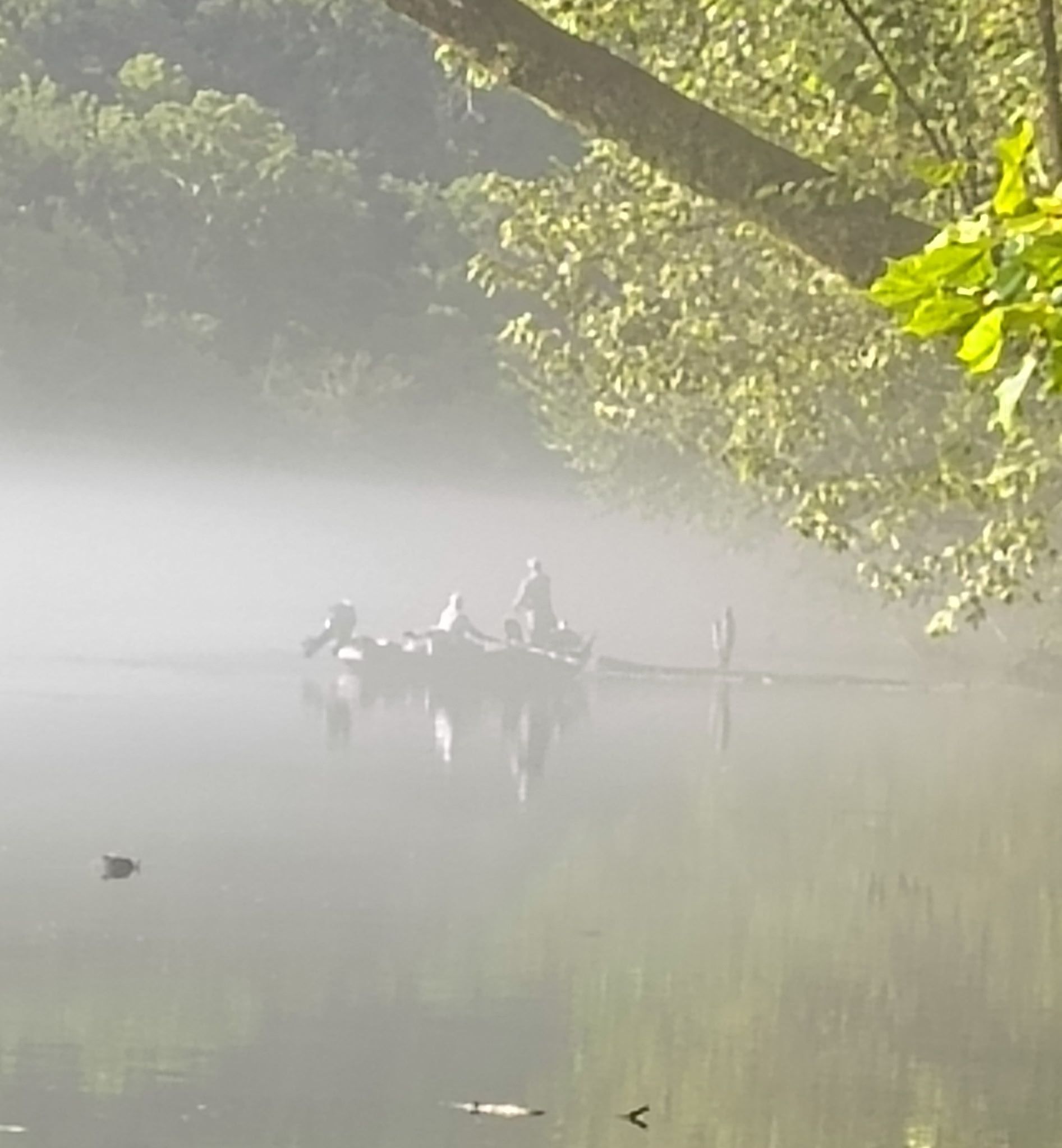 Boat with figures fishing on a foggy river; trees line the banks.