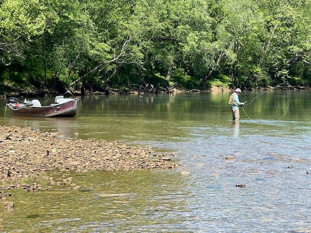 Man fly fishing in a river, boat nearby. Green trees frame the sunny scene.