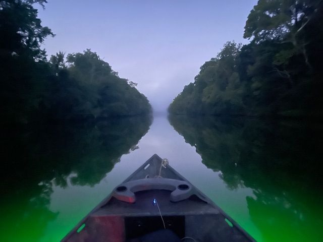 Boat navigating a still, reflective river lined by lush green trees under a hazy, dusky sky.