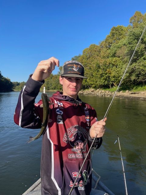 A person on a boat holds up a small fish, with a river and trees in the background.