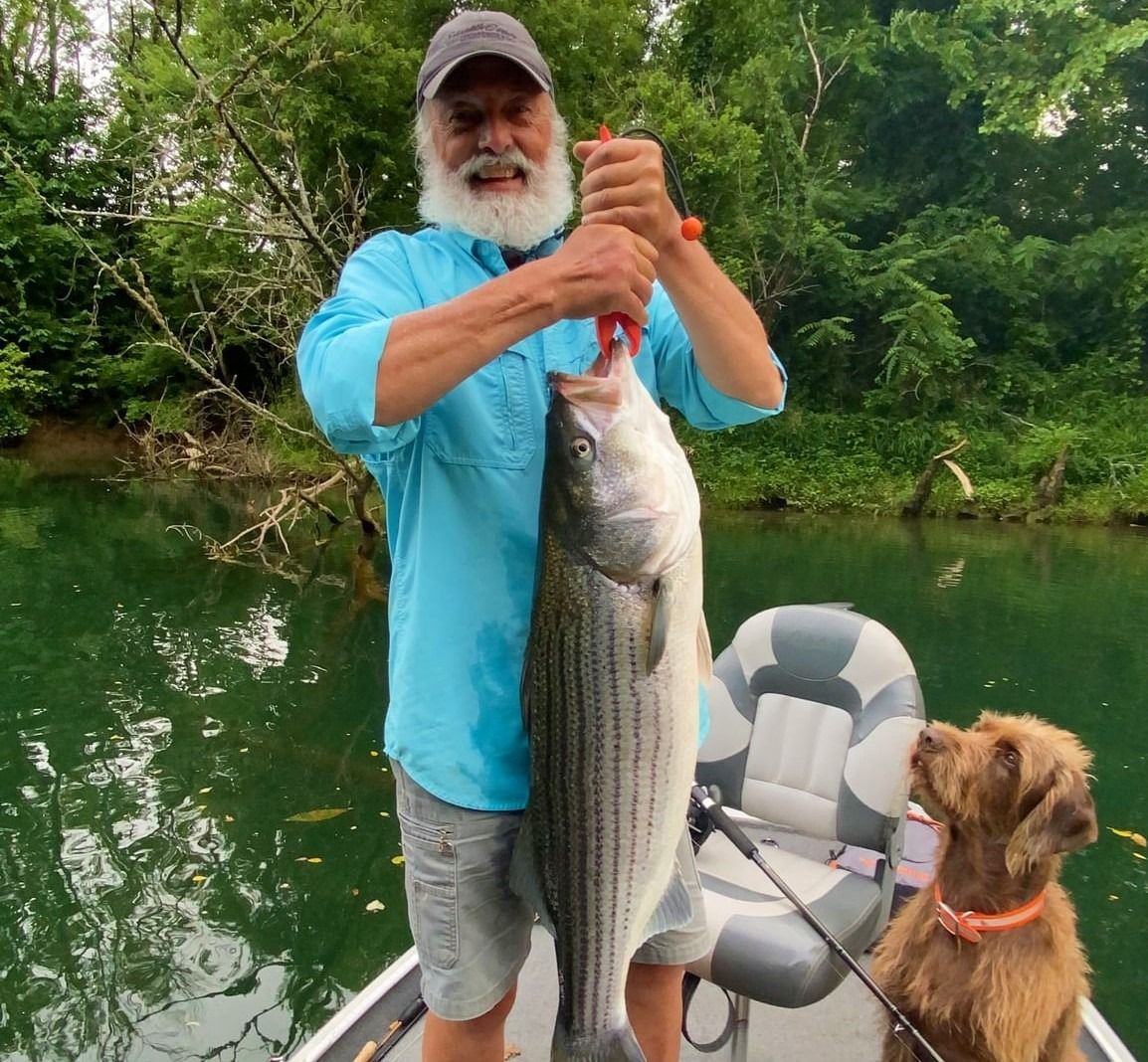 Man on boat holds up a large striped bass fish, dog watches. Over a green river.