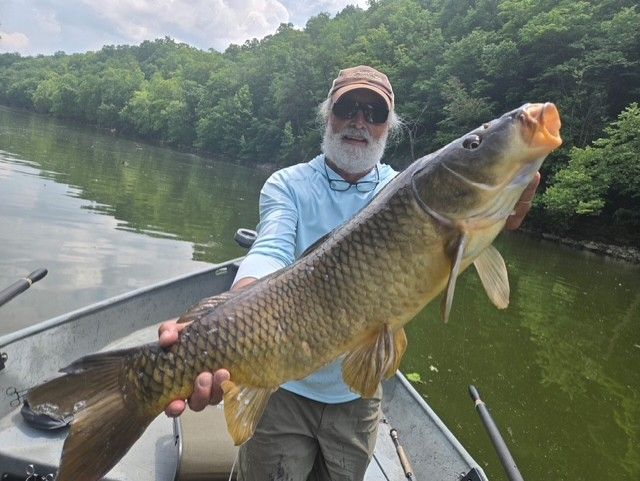 Man in boat holding large carp with open mouth, green water, trees in the background.