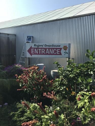 A Rogers' Greenhouse entrance sign with a red arrow on a corrugated metal wall, surrounded by various green plants.