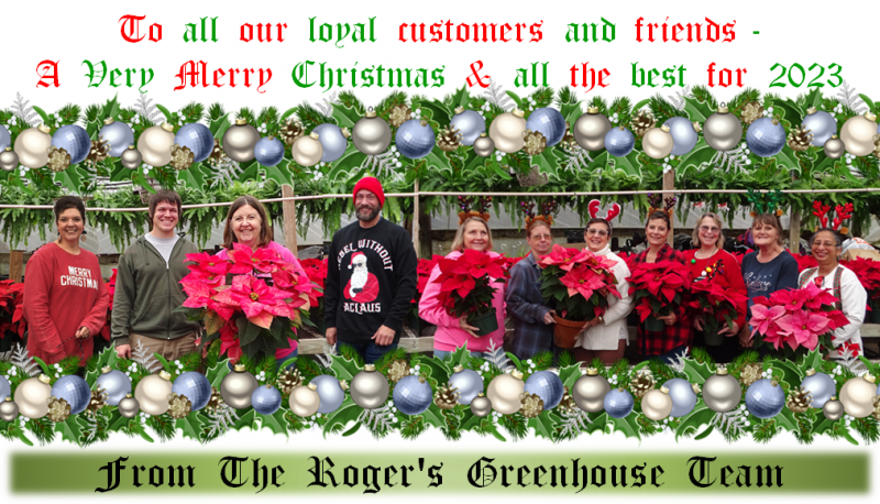 The Roger's Greenhouse team stands together in a greenhouse, holding poinsettias with Christmas text above and below.