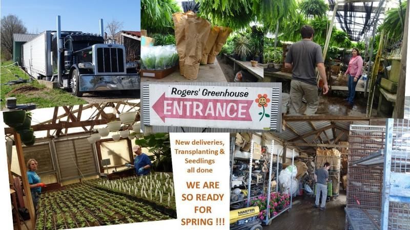 A collage showing Rogers' Greenhouse, including a truck, plant seedlings, people working, and an entrance sign.