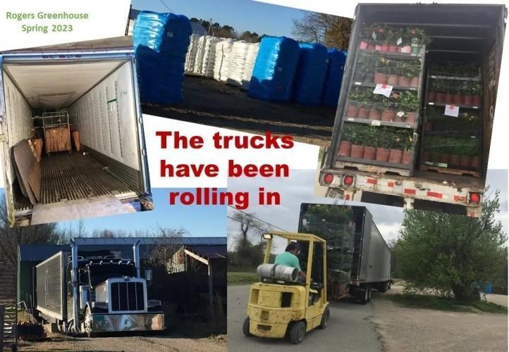 A collage showing trucks unloading shipments of plants and supplies at Rogers Greenhouse for Spring 2023.