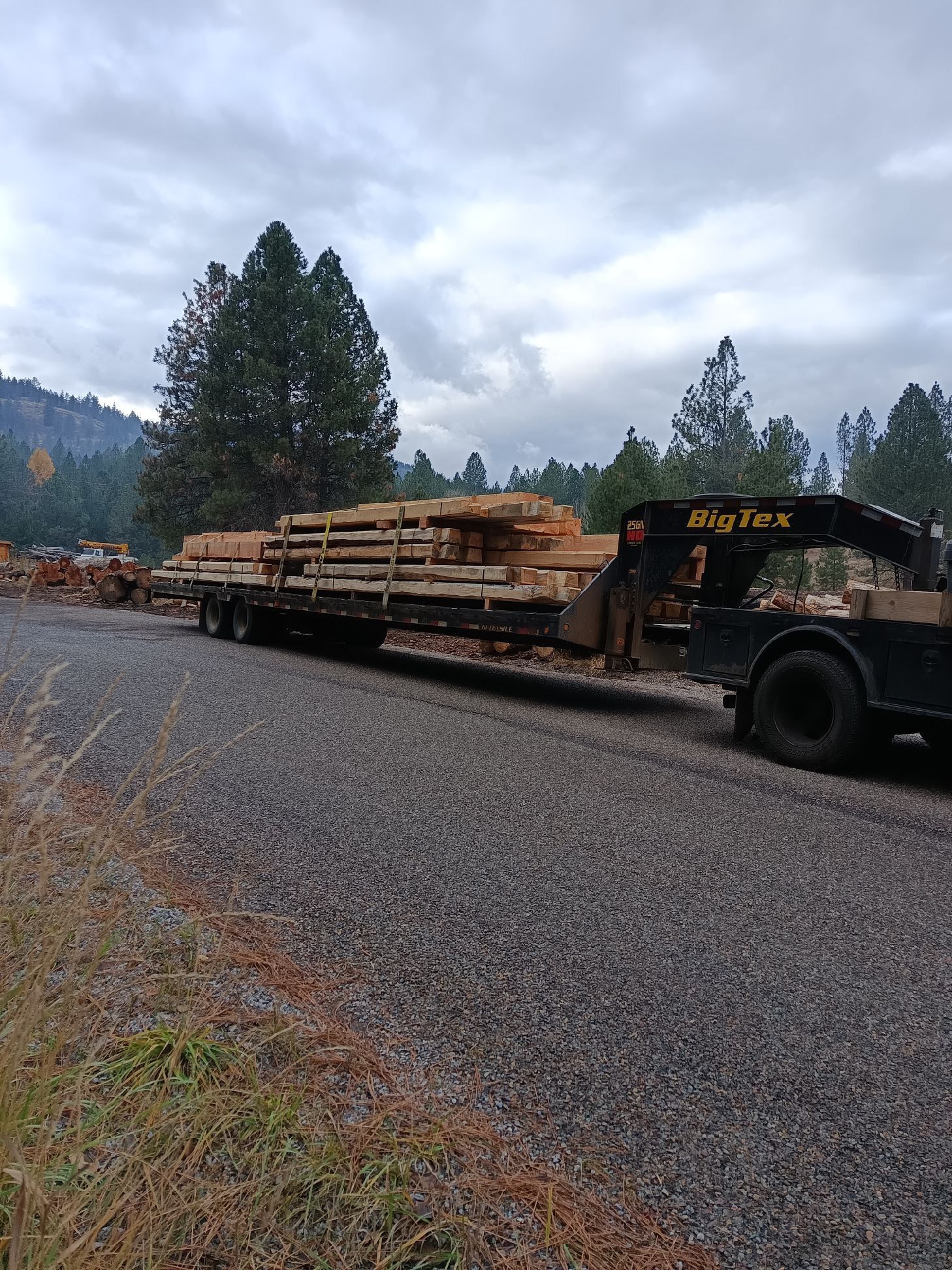 A truck is carrying logs down a gravel road.