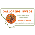 A logo for galloping swede llc with a viking on a horse