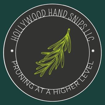 Hollywood Hand Snips Square Logo