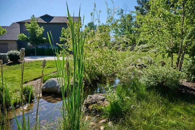 A small pond in a grassy yard — The District at Parkcenter