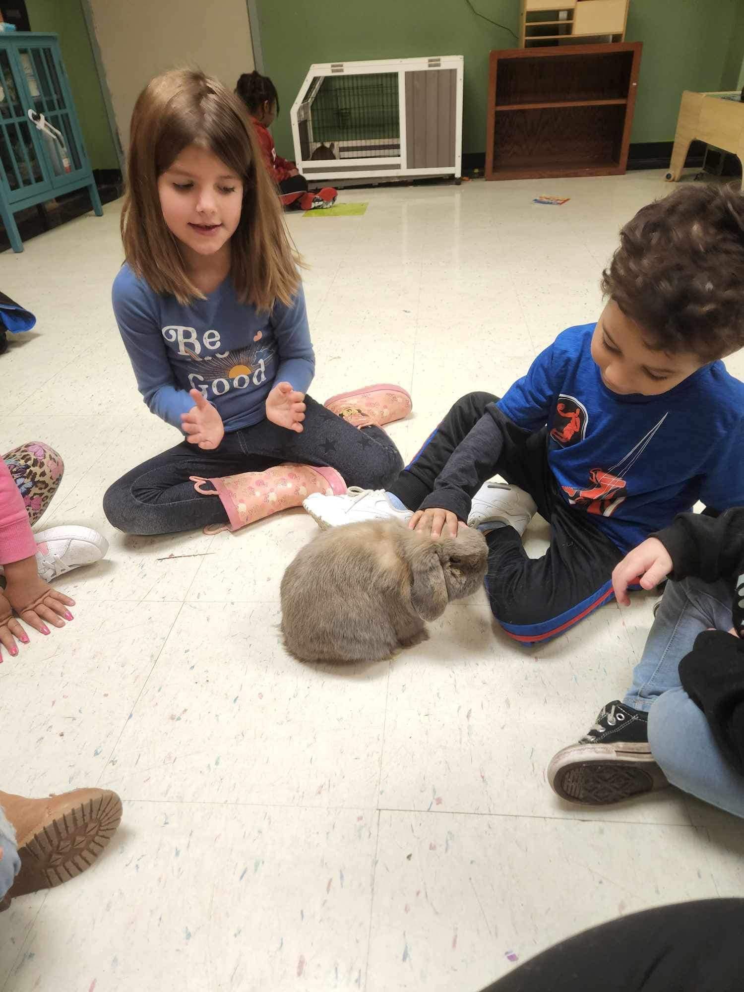 A group of children are sitting on the floor playing with a small rabbit.