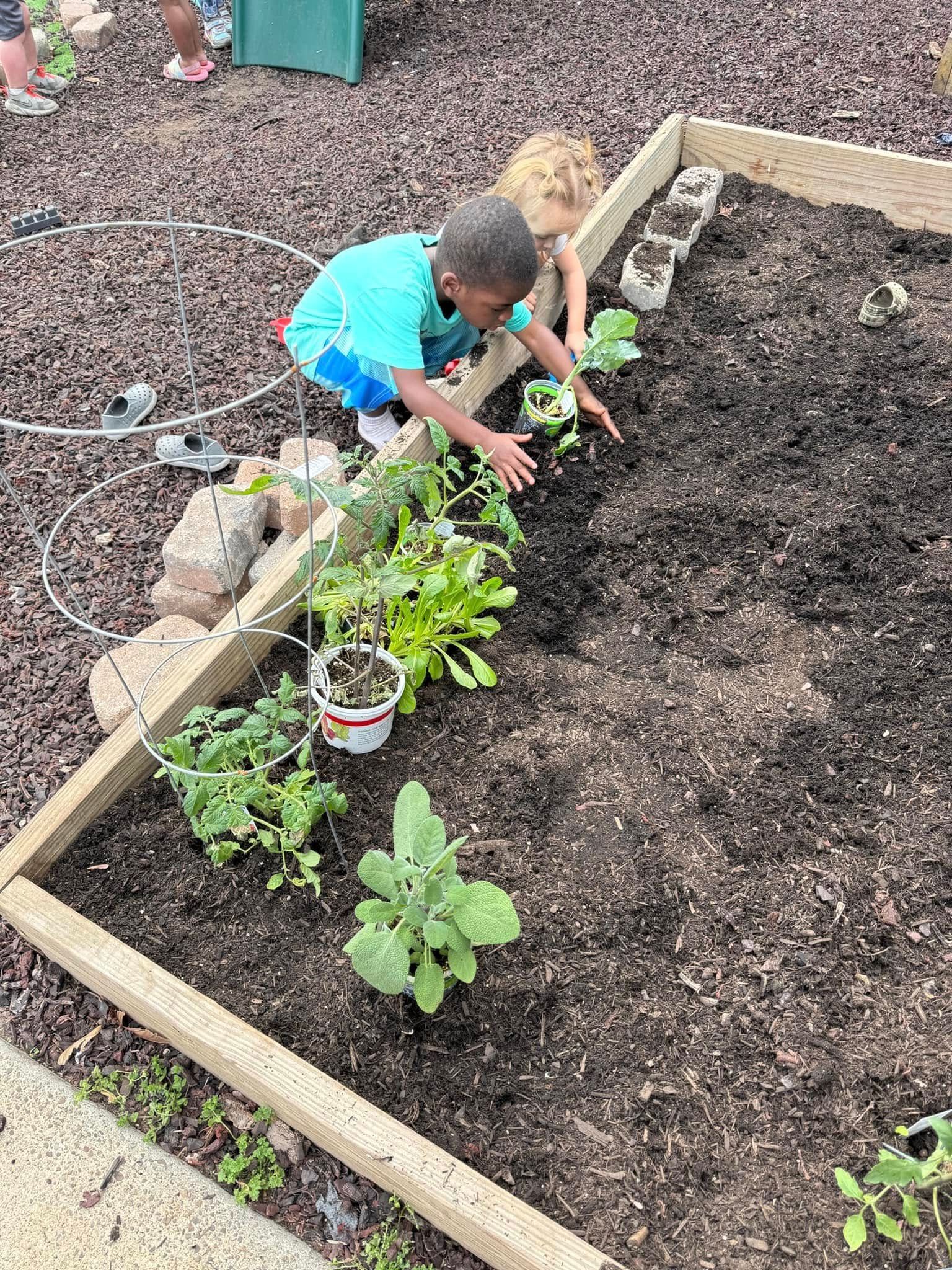 Two young children are planting plants in a garden.