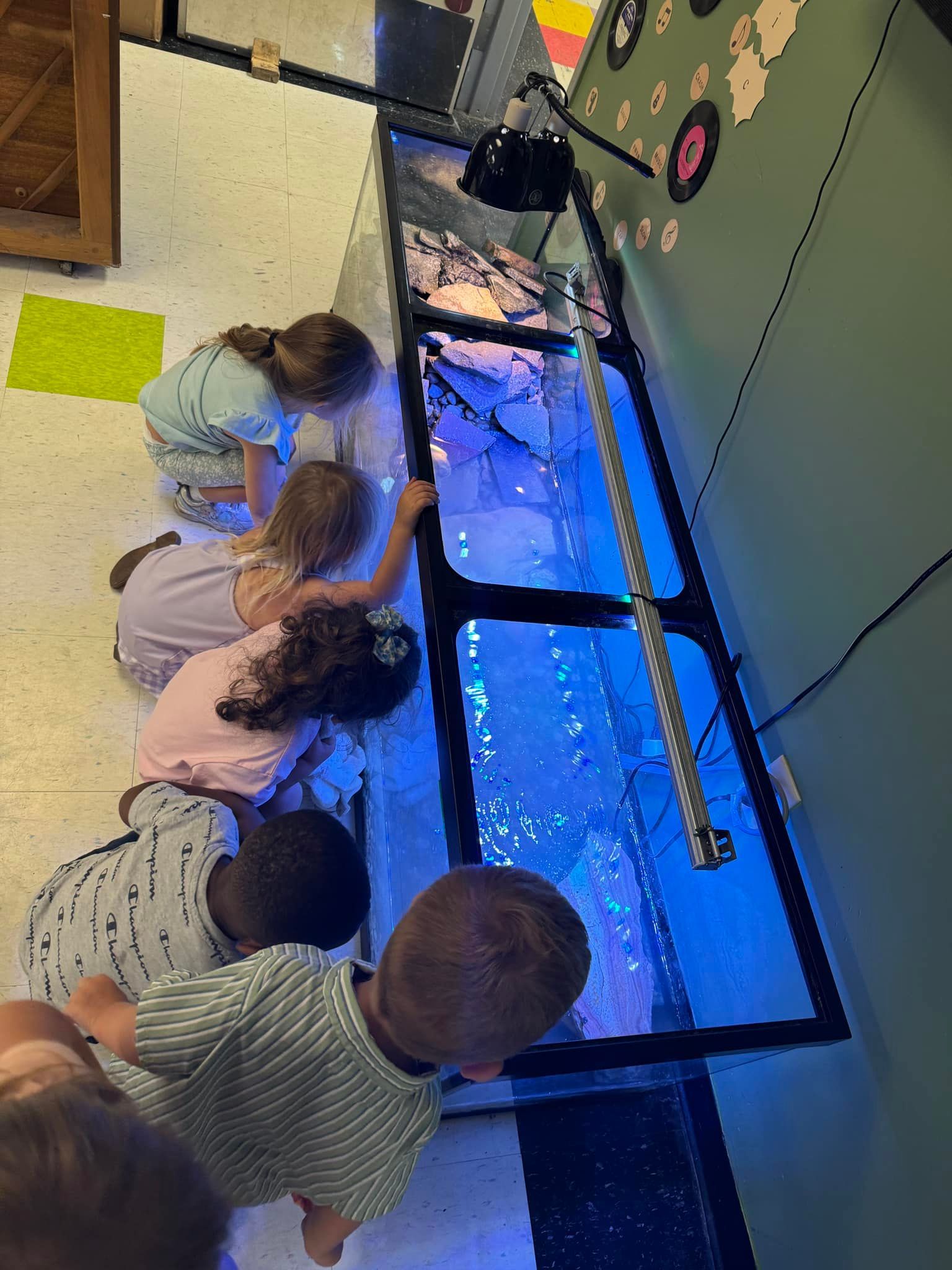 A group of children are looking at a fish tank.