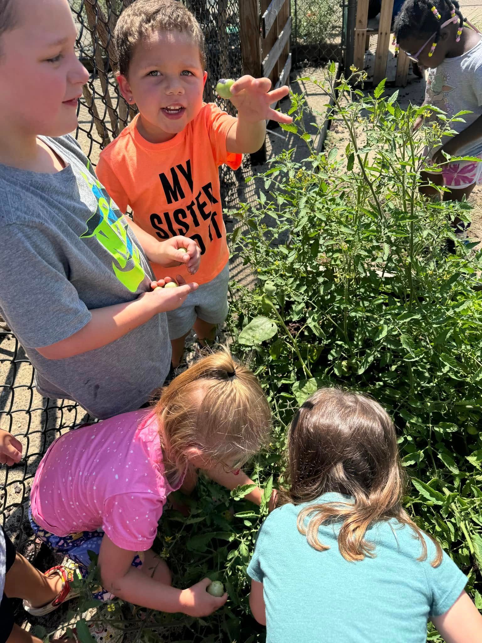 A group of children are looking at plants in a garden.