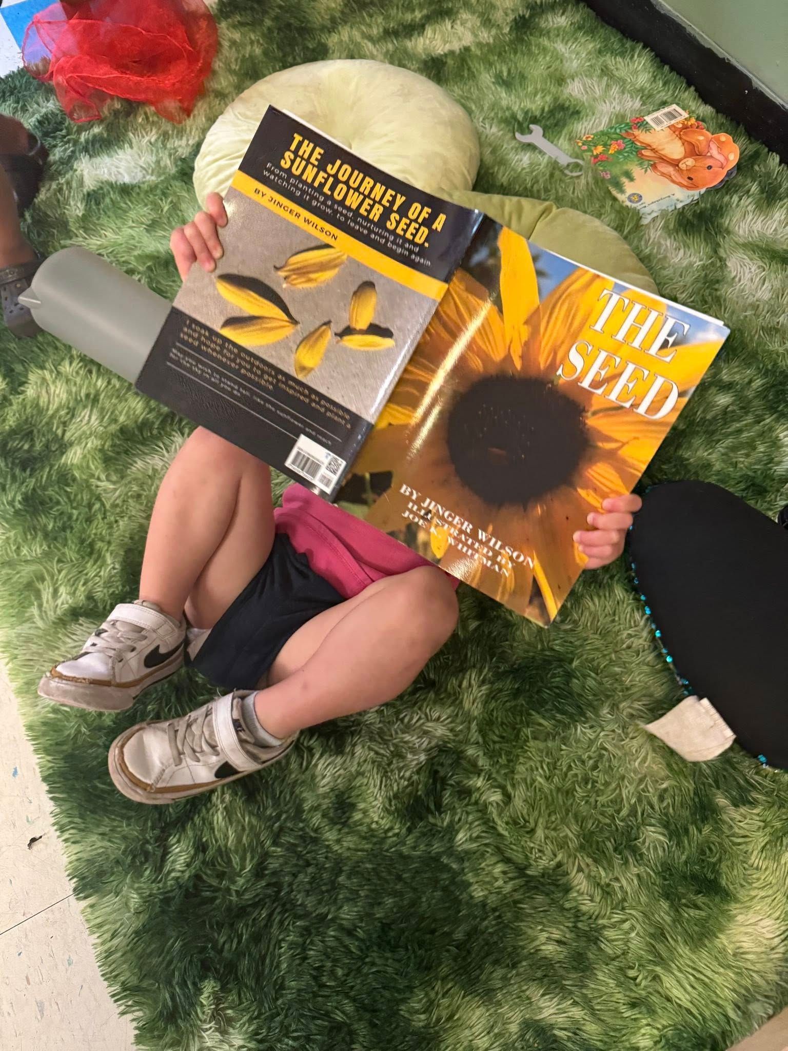 A little girl is laying on the floor reading a book about sunflowers.
