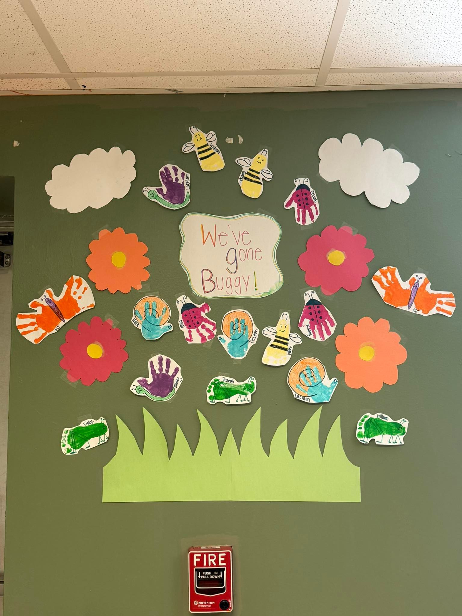 A green wall with a fire alarm on it