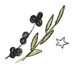 A drawing of a plant with leaves and berries and a star.