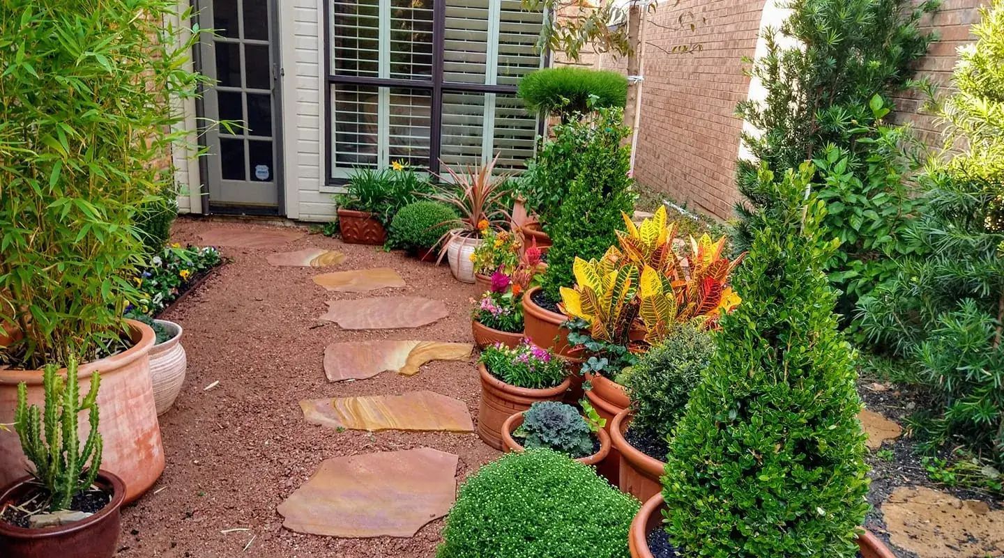 A Garden With Lots of Potted Plants and Trees in Front of a House