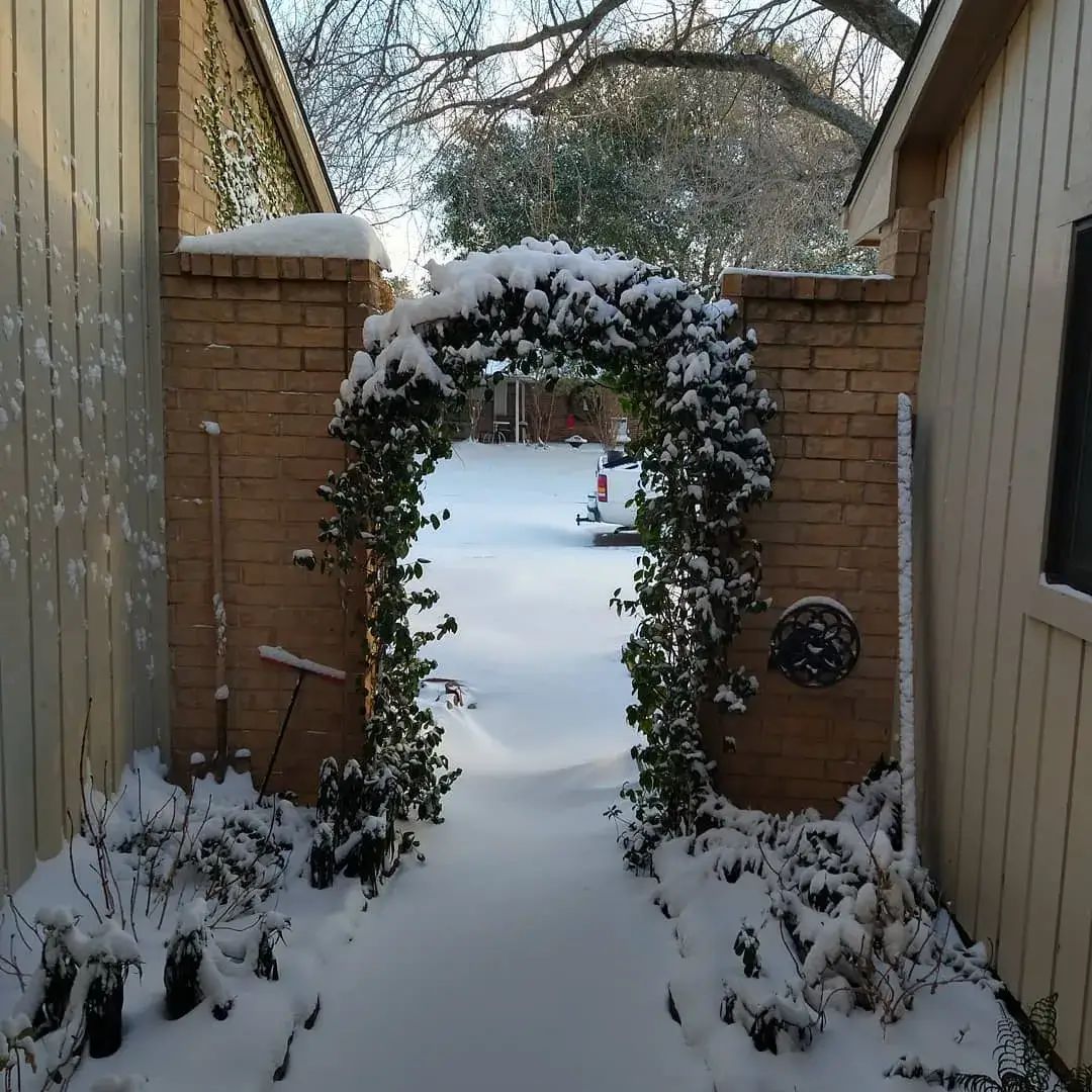 A brick archway covered in snow leads to a snowy yard