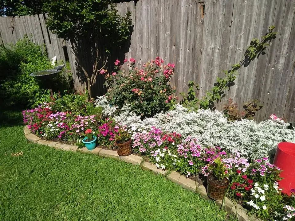 A Garden With Flowers and a Wooden Fence in the Background