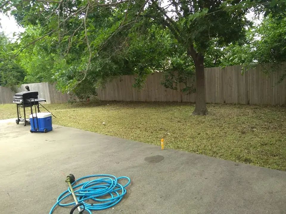 A blue hose is laying on the ground in a backyard.