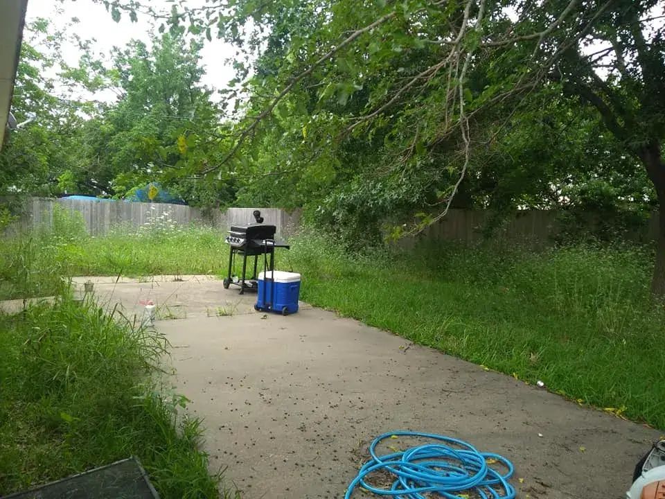 Backyard with Green Lawn