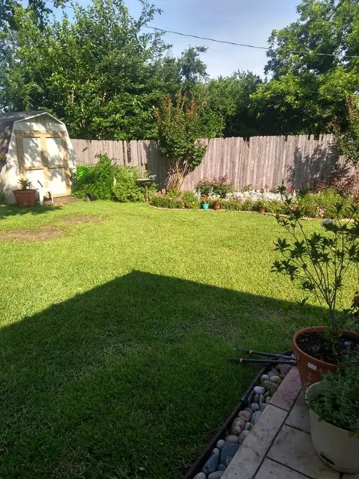 A backyard with a wooden fence and a lush green lawn