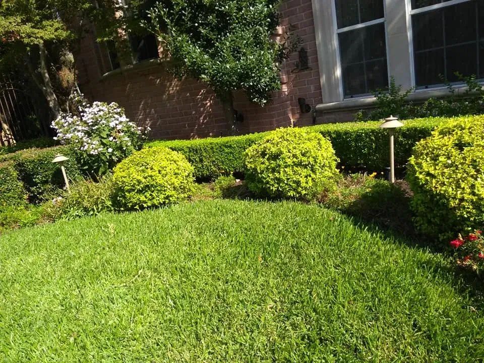 A lush green lawn with bushes and shrubs in front of a brick house.