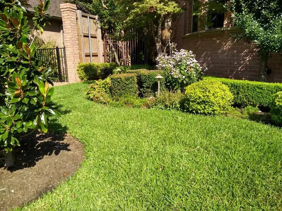A Lush Green Lawn in Front of a House With Bushes and Trees