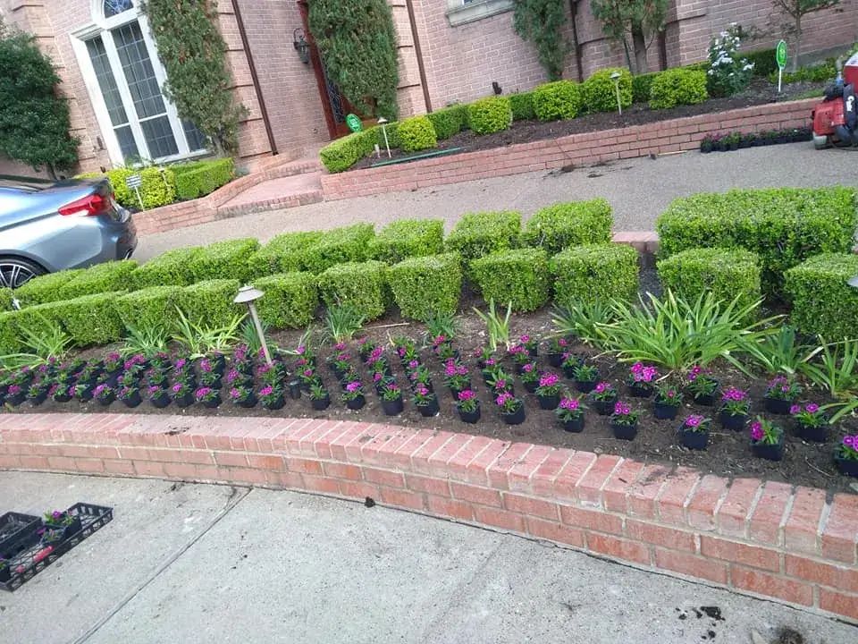 A Garden With Purple Flowers and Green Bushes in Front of a House
