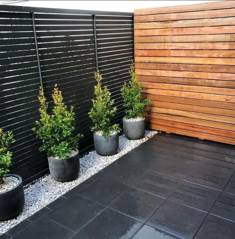 Three Potted Plants Are in Front of a Wooden Fence