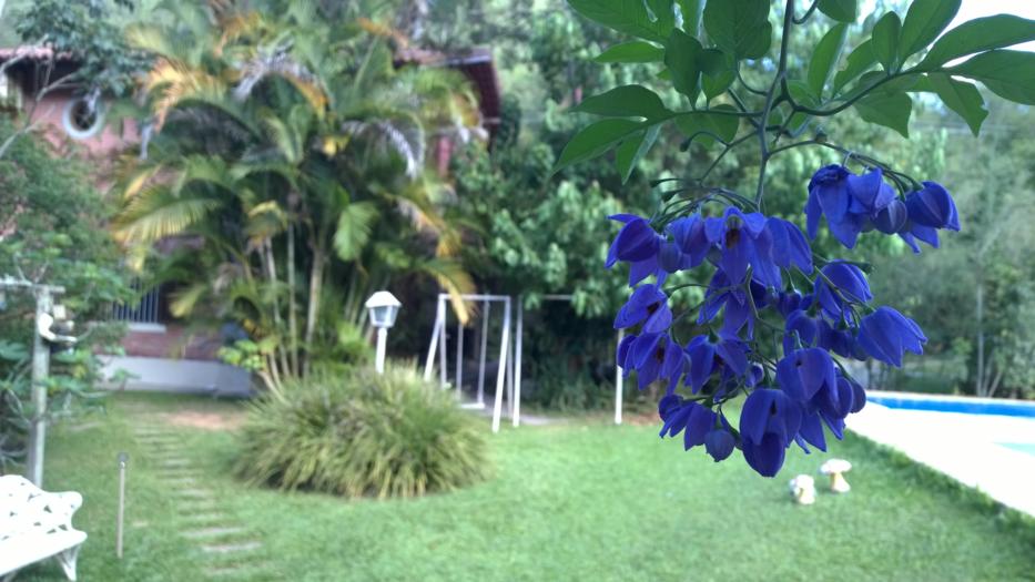 Área Externa (Chalé Xanadu Itaipava)