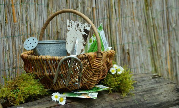 manutenzione giardini