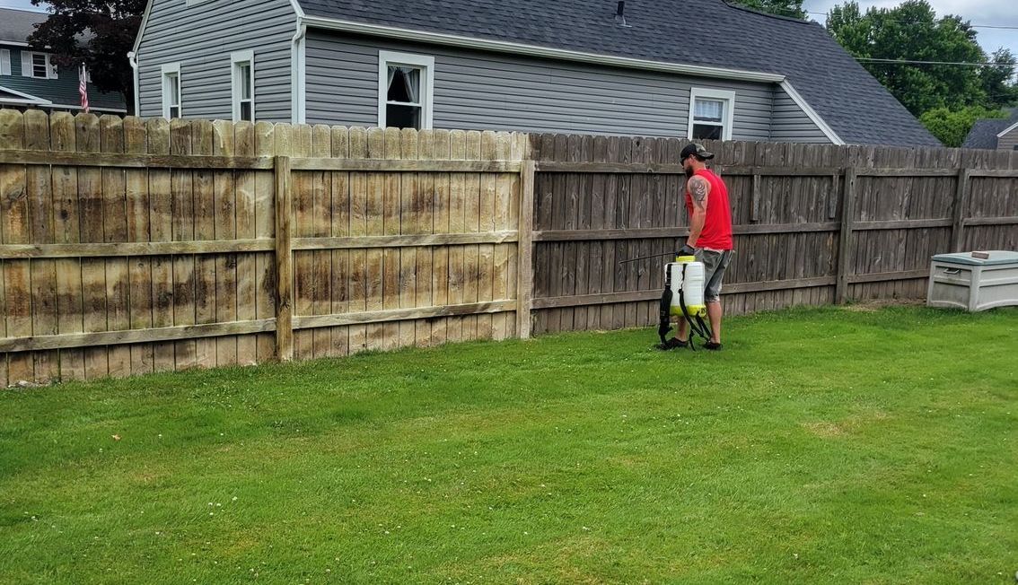 Pressure Washing Wooden Fence — Syracuse, NY — U.S. Vets Exterior Cleaning